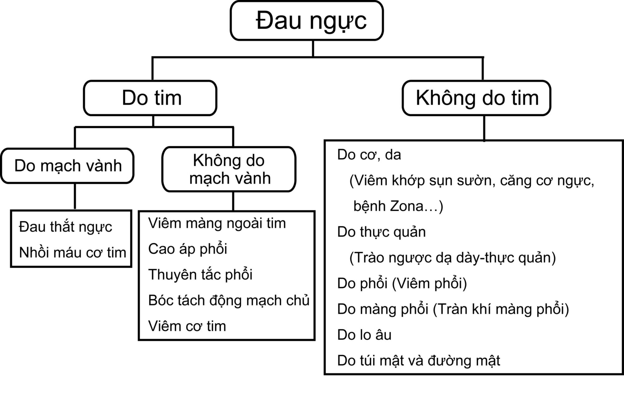 Chẩn Đoán Và Xử Trí Đau Ngực