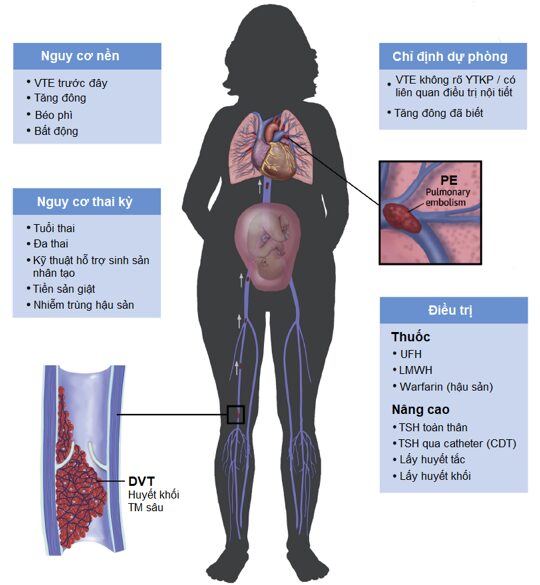 Thuyên tắc huyết khối tĩnh mạch và thai kỳ