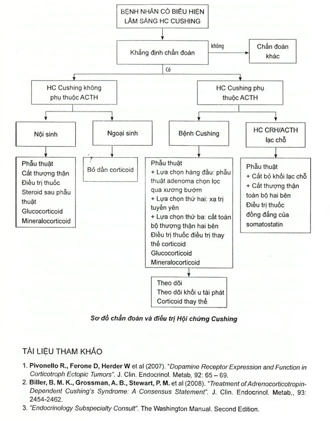 4. Chẩn đoán hội chứng Cushing